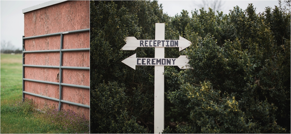 Wolf-Trap-Farm-Wedding-Charlottesville-Wedding-Photographer_1389.jpg